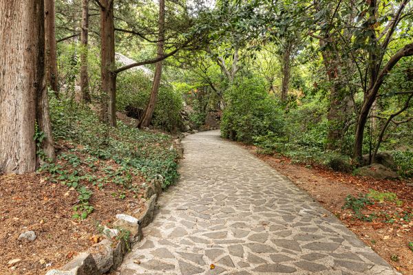 Stone Walkway Repair in Woodinville