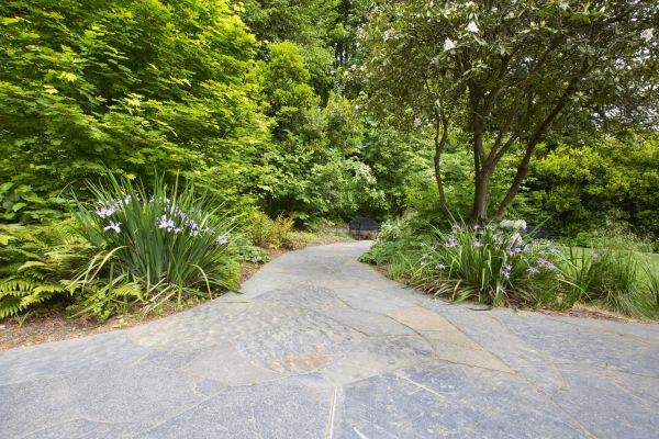Stone Hardscape Service in Woodinville