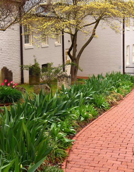 Brick Flatwork Repair in Woodinville